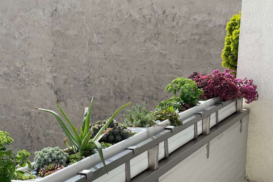 Balkon